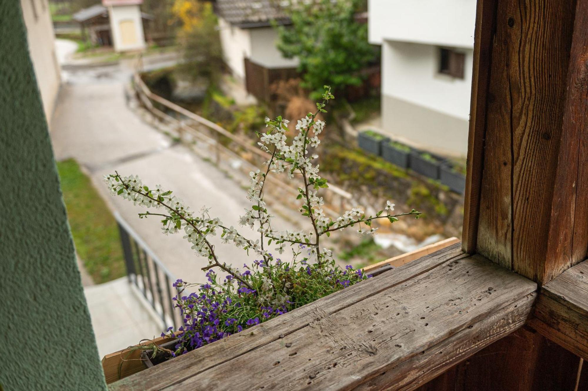 Apartamento Zelena Hisa Pri Bjov Bohinjska Bela Exterior foto