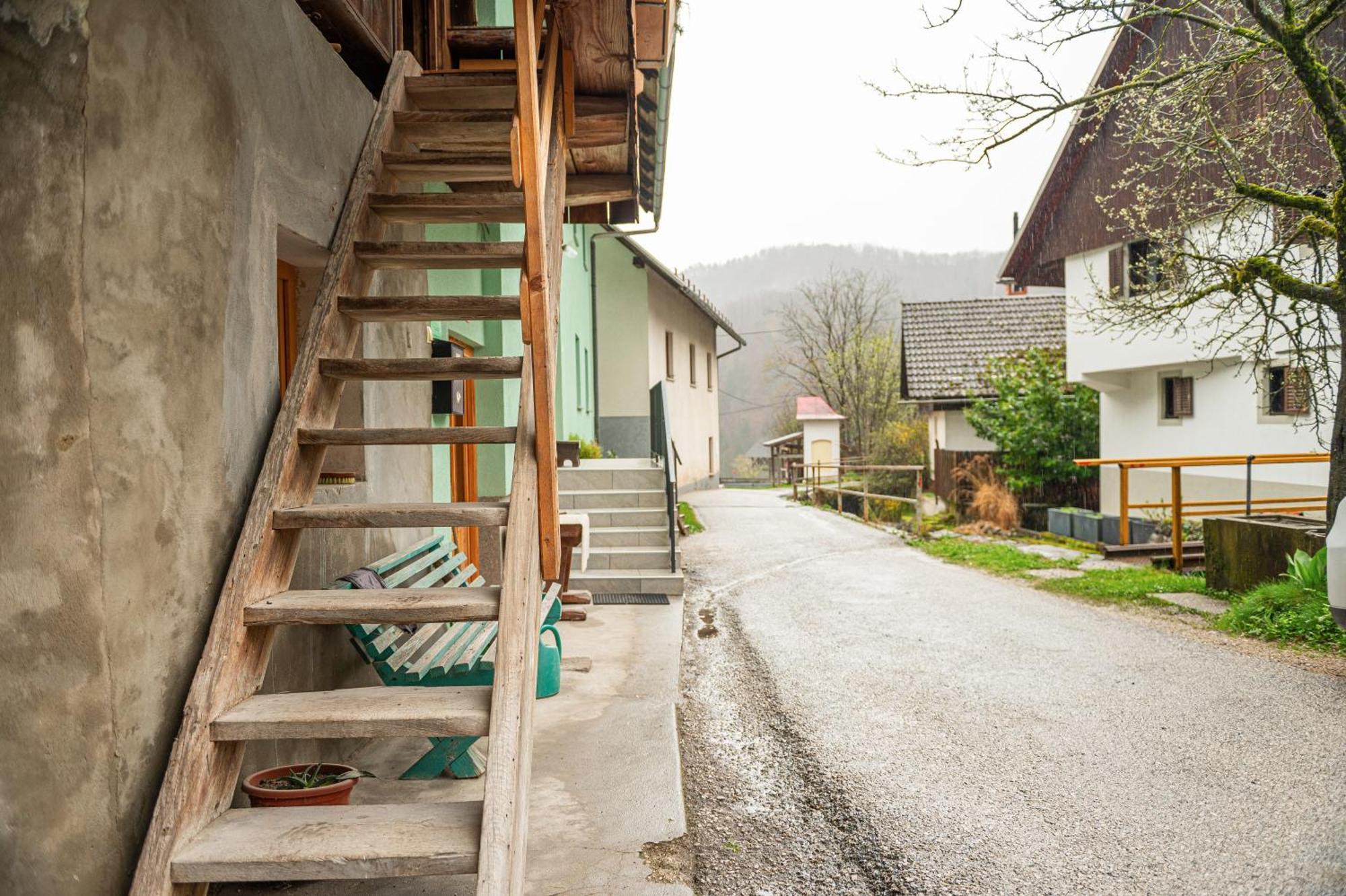 Apartamento Zelena Hisa Pri Bjov Bohinjska Bela Exterior foto