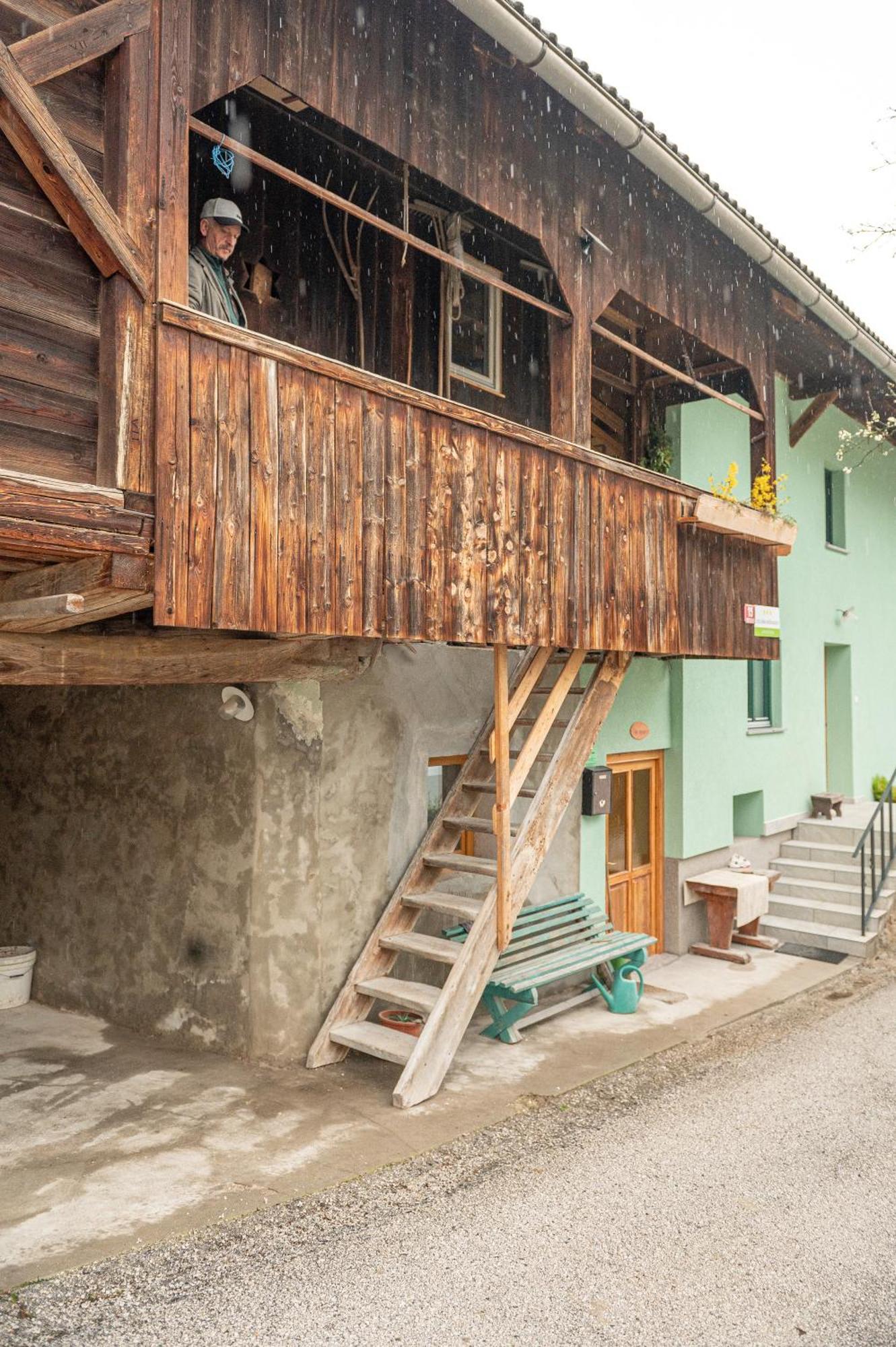 Apartamento Zelena Hisa Pri Bjov Bohinjska Bela Exterior foto