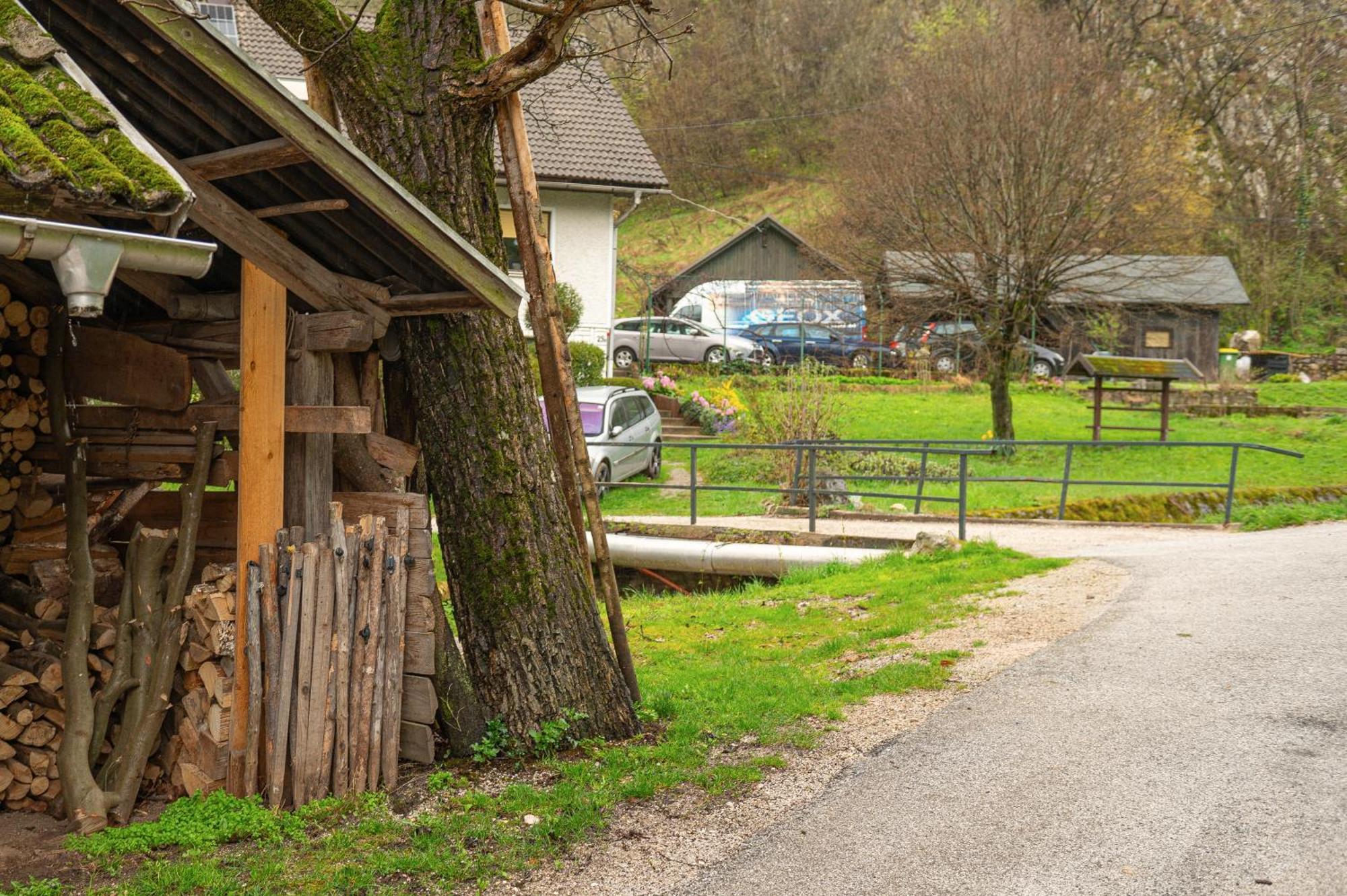 Apartamento Zelena Hisa Pri Bjov Bohinjska Bela Exterior foto